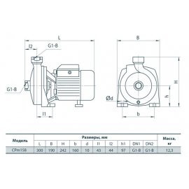 Насос поверхностный Rudes CPm 158