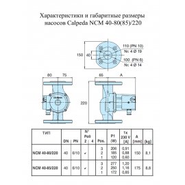 Циркуляционный насос Calpeda NCM 40-60/250 | (Италия)