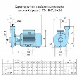 Поверхностный насос Calpeda B-C 41/1E | (Италия)