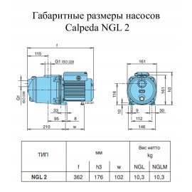 Поверхностный насос Calpeda NGLM 2  | (Италия)