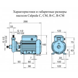 Поверхностный насос Calpeda C 16/1E | (Италия)