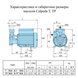 Поверхностный насос Calpeda T 70/А | (Италия)