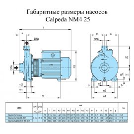 Поверхностный насос Calpeda NM4 25/12A/A | (Италия)