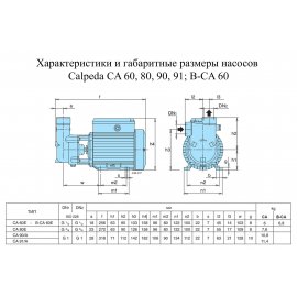 Поверхностный насос Calpeda B-CA 60E | (Италия)