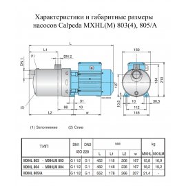 Поверхностный насос Calpeda MXHLМ 803 | (Италия)