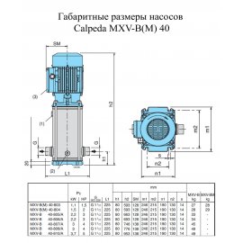 Поверхностный насос Calpeda MXV-BM 40-804 | (Италия)