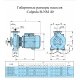 Поверхностный насос Calpeda B-NM 40/12C | (Италия)