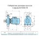 Поверхностный насос Calpeda B-NM4 50/16B/A | (Италия)