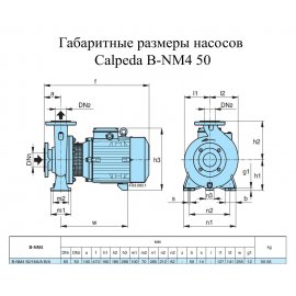 Поверхностный насос Calpeda B-NM4 50/16B/A | (Италия)