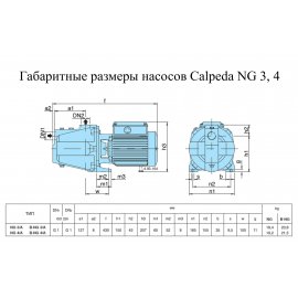 Поверхностный насос Calpeda NGM 3/A | (Италия)