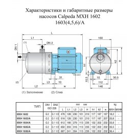 Поверхностный насос Calpeda MXH 1602 | (Италия)