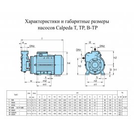 Поверхностный насос Calpeda TP 100/A | (Италия)