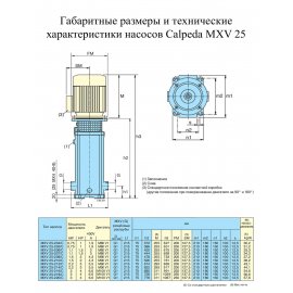 Поверхностный насос Calpeda MXV 25-204/C | (Италия)