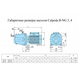 Поверхностный насос Calpeda B-NGM 3/A  | (Италия)