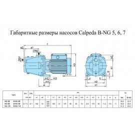 Поверхностный насос Calpeda B-NGM 5-16E | (Италия)