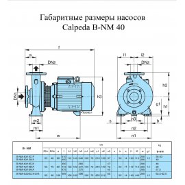 Поверхностный насос Calpeda B-NM 40/12F  | (Италия)