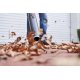 Акумуляторна повітродувка Stihl BGA 60 Set