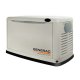 Генератор газовый Generac 7232 (220В)