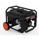 Генератор бензиновий Genergy LIMITED 3300